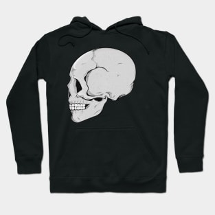 Skull (white background) Hoodie